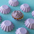 BLOOM PASTEL LILAC Baking Cups 24pk